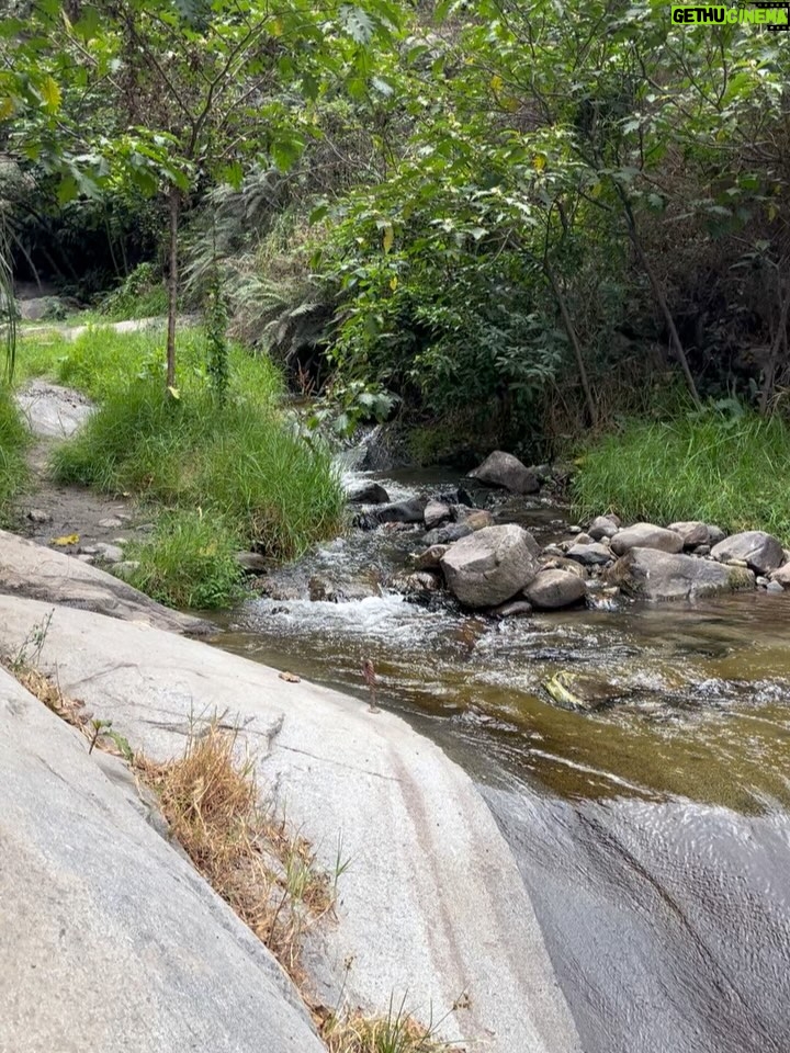 Pierina Carcelén - 5.3K Likes - Agua, mucha agua = mucha bendición 🩵
Un regalo haberme traído hasta este paraíso en la sierra limeña. Gratitud a los guardianes de esta mágica ruta de tanta agüita y viento, de sol brillante y poderosas montañas. Que mas se puede pedir ? 

#lamagiadeloselementos #mamanaturaleza #pachamamita #sierralimeña #autocuidado #metengo #mesostengo #meescucho #mehagocargo #meamo #escapadasurbanas