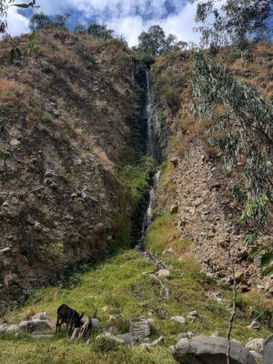 Pierina Carcelén Instagram - Agua, mucha agua = mucha bendición 🩵
Un regalo haberme traído hasta este paraíso en la sierra limeña. Gratitud a los guardianes de esta mágica ruta de tanta agüita y viento, de sol brillante y poderosas montañas. Que mas se puede pedir ?
#lamagiadeloselementos #mamanaturaleza #pachamamita #sierralimeña #autocuidado #metengo #mesostengo #meescucho #mehagocargo #meamo #escapadasurbanas