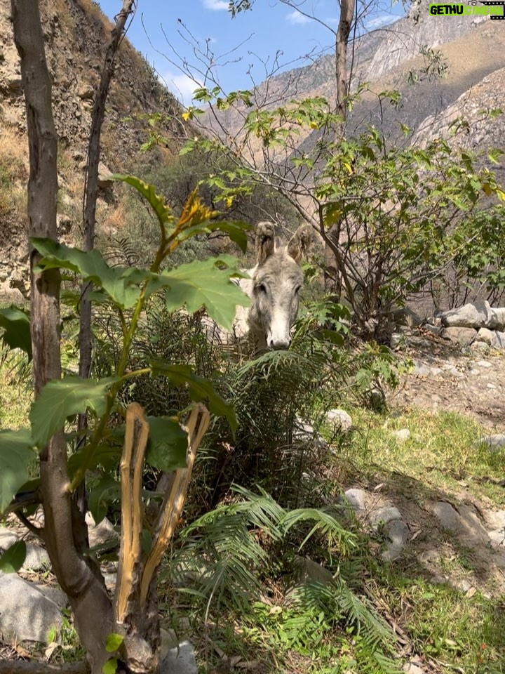 Pierina Carcelén - 5.3K Likes - Agua, mucha agua = mucha bendición 🩵
Un regalo haberme traído hasta este paraíso en la sierra limeña. Gratitud a los guardianes de esta mágica ruta de tanta agüita y viento, de sol brillante y poderosas montañas. Que mas se puede pedir ? 

#lamagiadeloselementos #mamanaturaleza #pachamamita #sierralimeña #autocuidado #metengo #mesostengo #meescucho #mehagocargo #meamo #escapadasurbanas