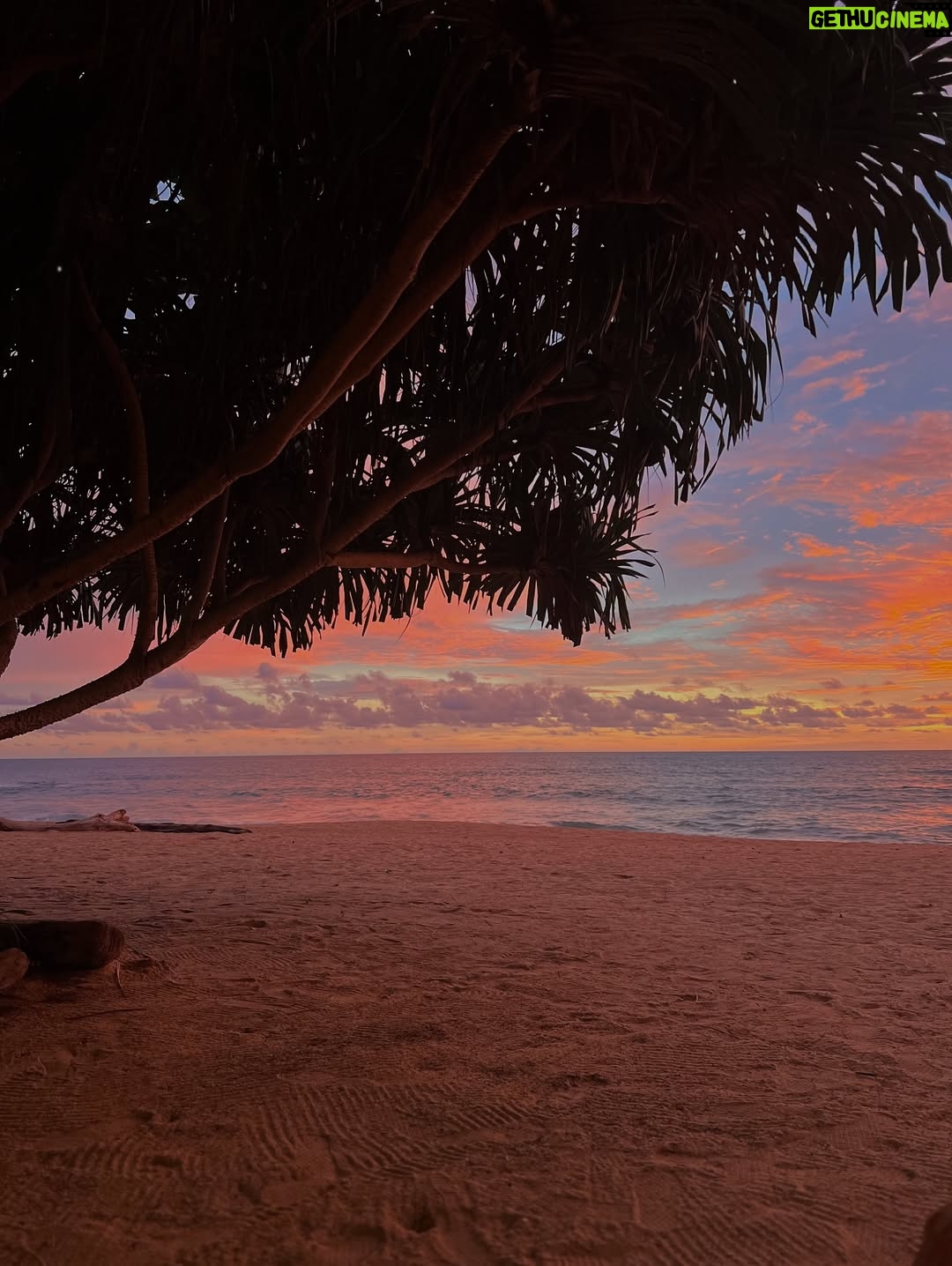 Pooja Chen - 3 Likes - Strolling into paradise, Thailand style 🌺✨ 
Blooming with the bougainvillea vibes 🌸💖 → Golden hour magic in Thailand 🌅✨ → When the sky decides to show off 🔥→ Holiday glow > everything else 😎☀️ → Ocean therapy hits different here → The far away island of Similian 🌞🌊→ Partner in crime on vacay multitasking with everyone’s swim googles🏖️😂🌊🌴