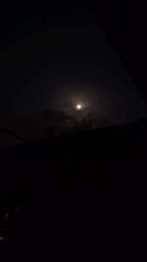 Poonam Chaubey Instagram - The moon made my night ♥️ #everything #is #better #with #the #moon