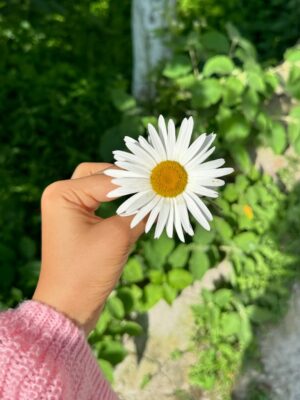 Pranjali Sing Instagram - silly of me to forget that I am the love of my life 
.
.
.
.
.
#pinterest #pinterestaesthetic #pinterestinspired #foryou #fyp #explorepage #pink