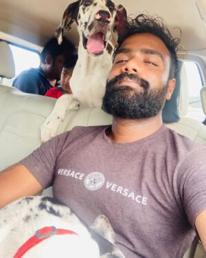 Praveen Devasagayam Instagram - Bella-Zara , sensitive and a pure connection with these girls for the past 3 days had healed few areas of my life , Love unconditional and Lesson unlimited , It’s easy to earn trust but to Learn the person you trust is the Task involved for betterment ! 
#harlequin #Dane #Dogs #merlin