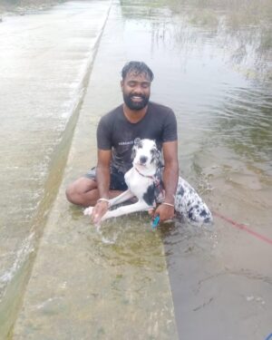 Praveen Devasagayam Instagram - Bella-Zara , sensitive and a pure connection with these girls for the past 3 days had healed few areas of my life , Love unconditional and Lesson unlimited , It’s easy to earn trust but to Learn the person you trust is the Task involved for betterment ! 
#harlequin #Dane #Dogs #merlin