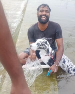 Praveen Devasagayam Instagram - Bella-Zara , sensitive and a pure connection with these girls for the past 3 days had healed few areas of my life , Love unconditional and Lesson unlimited , It’s easy to earn trust but to Learn the person you trust is the Task involved for betterment ! 
#harlequin #Dane #Dogs #merlin