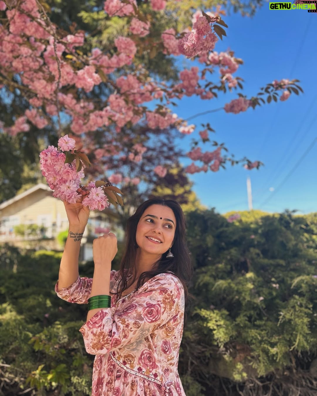 Preet Aujla - 11.6K Likes - The last two are my favourite🌸🤍