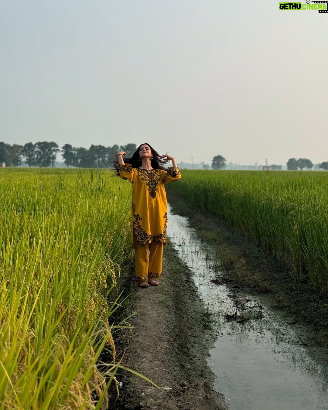 Preet Aujla - 13.9K Likes - 🌾