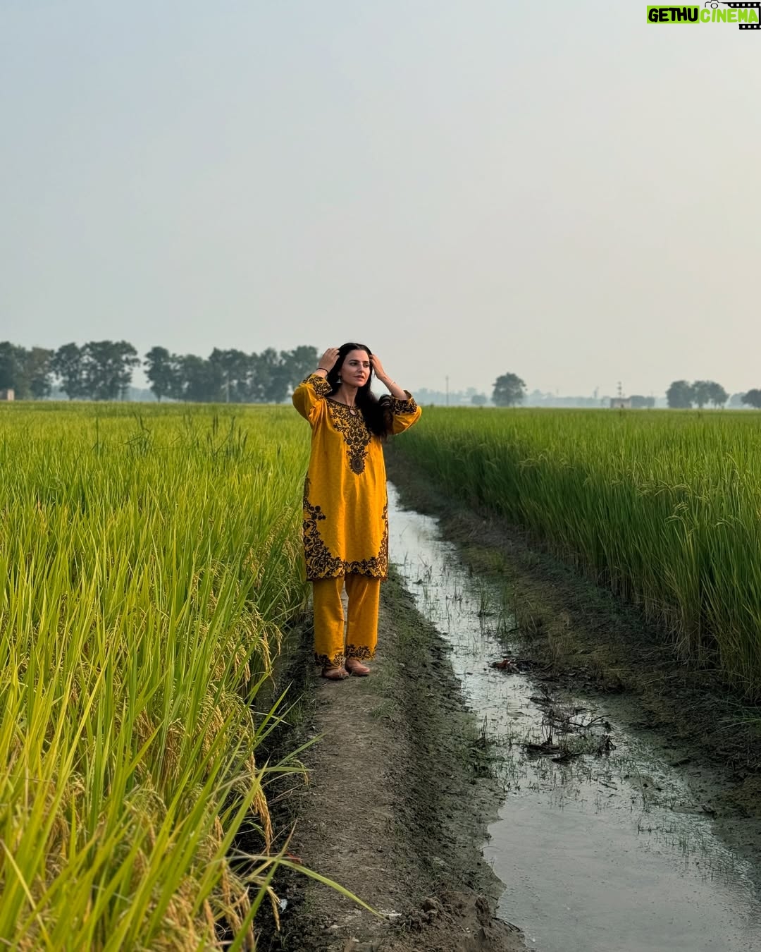 Preet Aujla - 13.9K Likes - 🌾