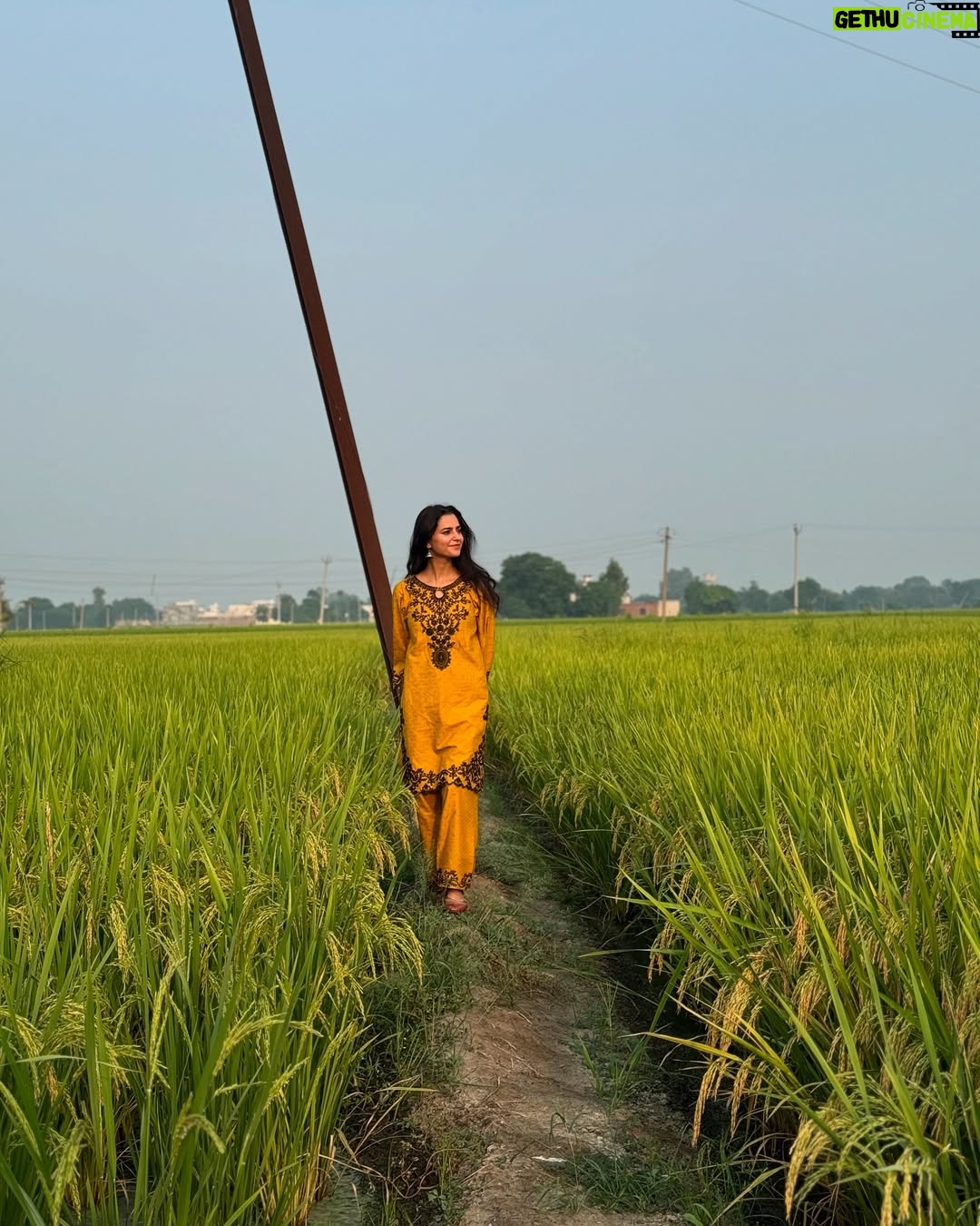 Preet Aujla - 13.9K Likes - 🌾