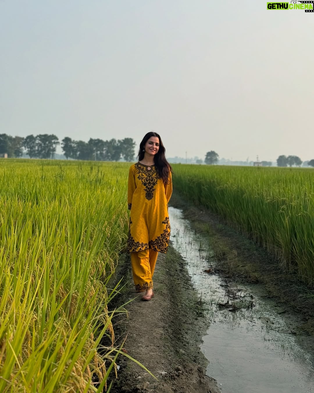 Preet Aujla - 13.9K Likes - 🌾