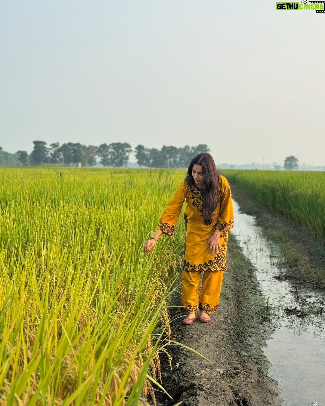 Preet Aujla - 13.9K Likes - 🌾