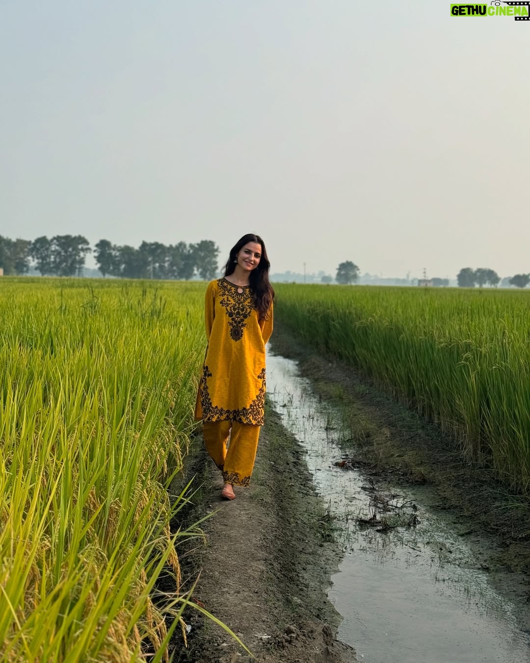 Preet Aujla - 13.9K Likes - 🌾