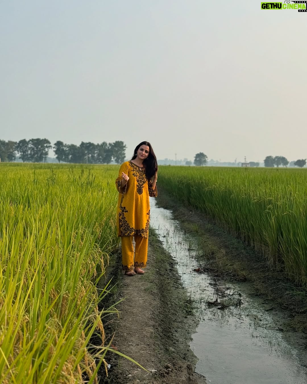 Preet Aujla - 13.9K Likes - 🌾