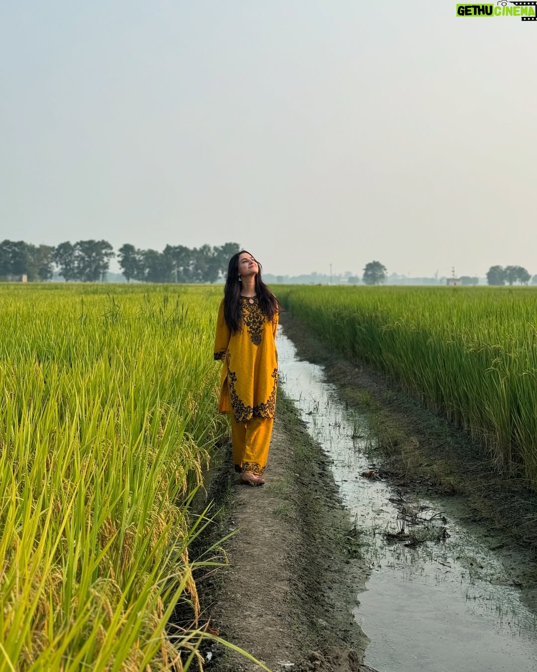 Preet Aujla - 13.9K Likes - 🌾