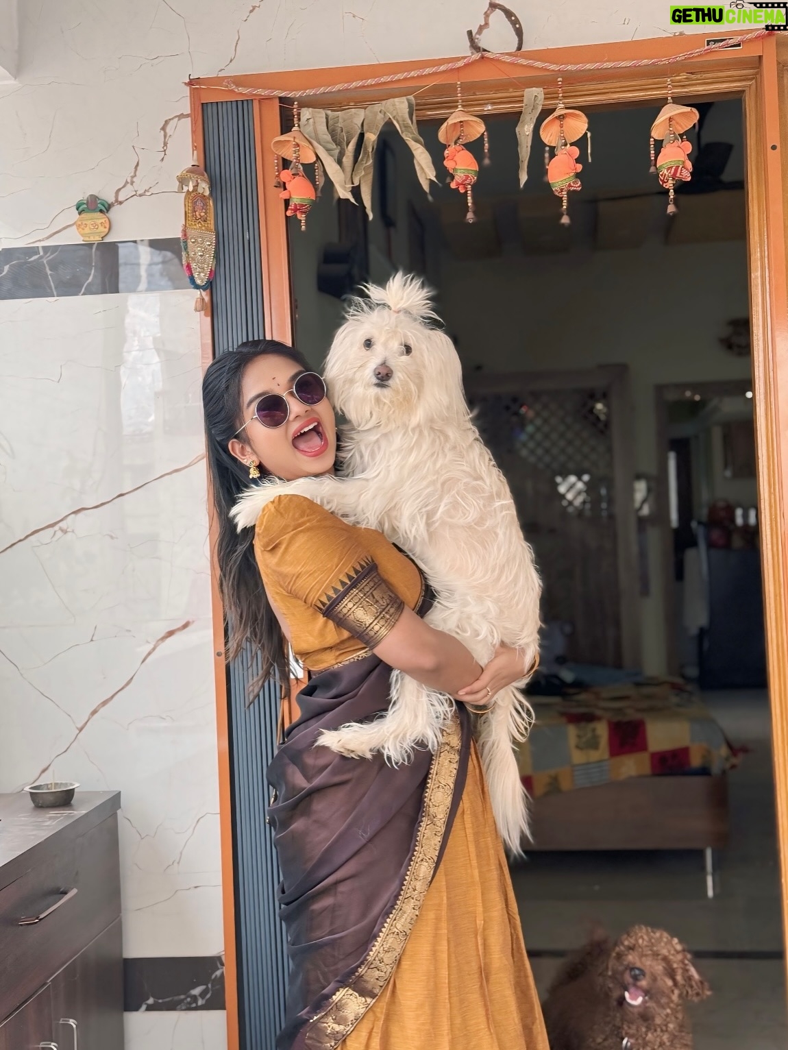 Preethi Sharma - 276.6K Likes - 🌼🪞🦢

 Wearing @onlinegits_ 🤎🧡

#halfsaree #ethnic #traditional #homesweethome #whiskey🐾 #lucky🐶 #mykids #bestrong #bepositive #beyou #preefam☮️ #preevibes☮️ #preelovesyou☮️