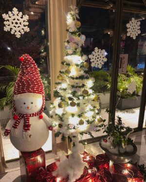 Preksha Makhija Instagram - Santa baby💕🌲✨
.
.
.
.
.
.
.
#santa #christmas #christmastime #christmasdecor #santababy #christmasnails #fyp #aesthetic #explore