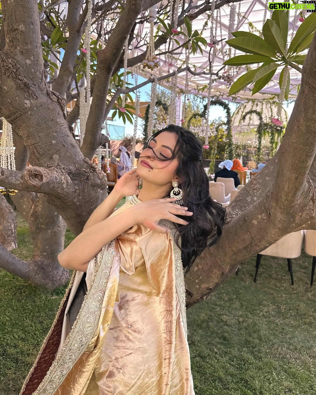 Preksha Makhija - 15.6K Likes - leja tu sandesa mera, main sadke jaawaan✨🪞🦢
.
.
wearing @jazz_and_jassi 
.
.
.
.
#ethnic #wedding #weddingday #ootd #potd #gadar #punjabisuit #traditional #weddinginspo
