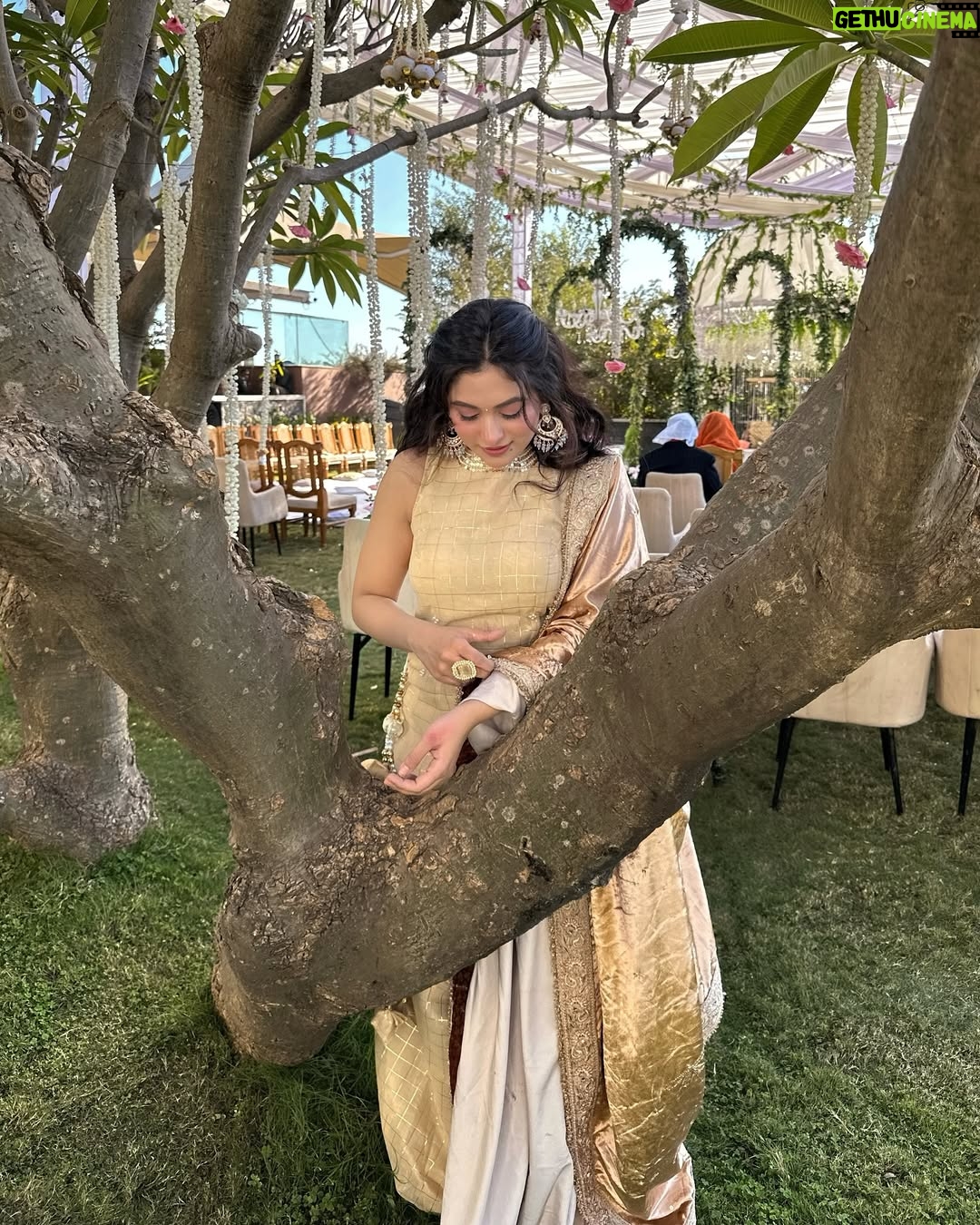 Preksha Makhija - 15.6K Likes - leja tu sandesa mera, main sadke jaawaan✨🪞🦢
.
.
wearing @jazz_and_jassi 
.
.
.
.
#ethnic #wedding #weddingday #ootd #potd #gadar #punjabisuit #traditional #weddinginspo