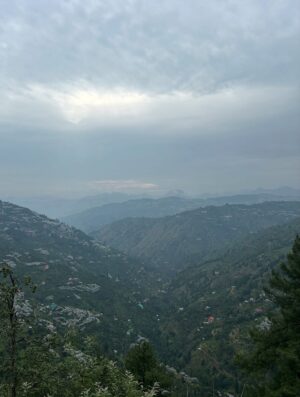 Prity Thista Instagram - High on you✨
.
.
.
.
.
.
.
.
.
.
.
.
#pritythista #réel #instagram #insta #instamood #instapic #instaphoto #viral #cute #shimla #solan #nature #picture #pictureoftheday #photos #ootd
