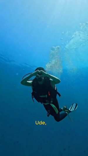 Priya Ahuja Instagram - Deep Sea Diving.. my love n passion 
Did this after 6 long years.. pregnancy Covid n life but finally m back 🧿✨🍀

Thank you @pickyourtrail @adaaranselecthudhuranfushi @divepointmaldives @bigsharksdiving fr the beautiful experience ✨🙏🏻

#SuperHitHolidays #Pickyourtrail #AdaaranSelectHudhuranFushi
#divepointmaldives #divewithfriends