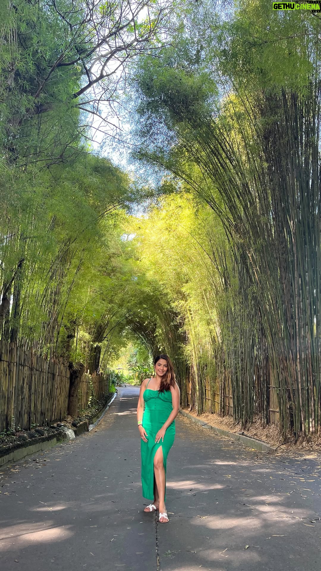 Priya Kapoor Arora - 1.8K Likes - Lapata ☀️