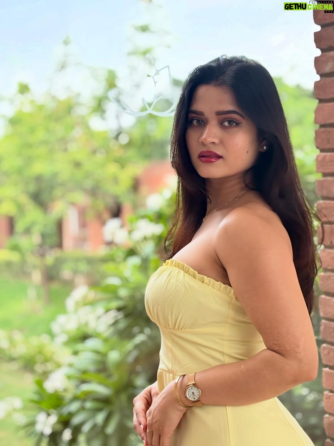 Priyanka Chaturvedi - 4.8K Likes - Buttery yellow 💛
