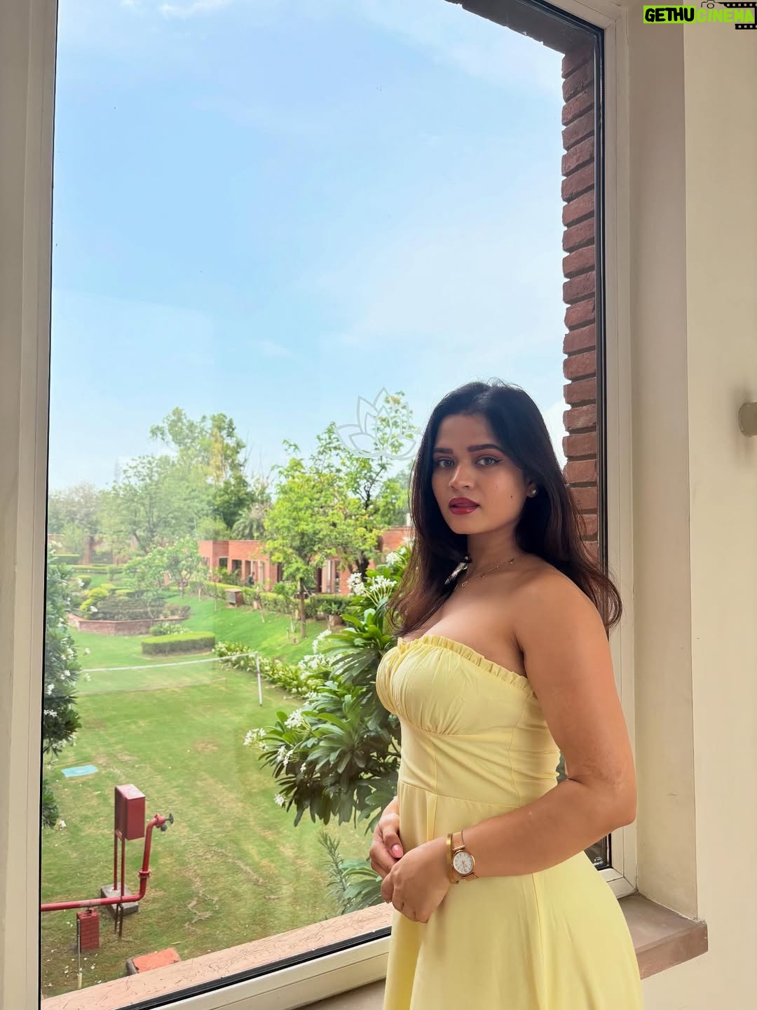 Priyanka Chaturvedi - 4.8K Likes - Buttery yellow 💛