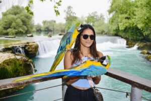 Priyanka Goswami Instagram - Pihuuuuu🌱
#naturephotography #parrots #love #cute #happyplace #weekend