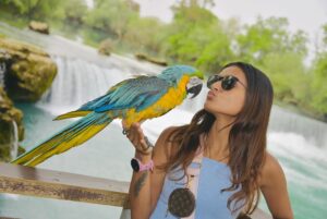 Priyanka Goswami Instagram - Pihuuuuu🌱
#naturephotography #parrots #love #cute #happyplace #weekend