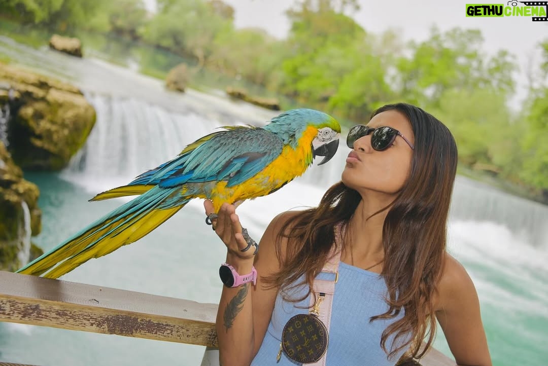 Priyanka Goswami - 2.6K Likes - Pihuuuuu🌱

#naturephotography #parrots #love #cute #happyplace #weekend