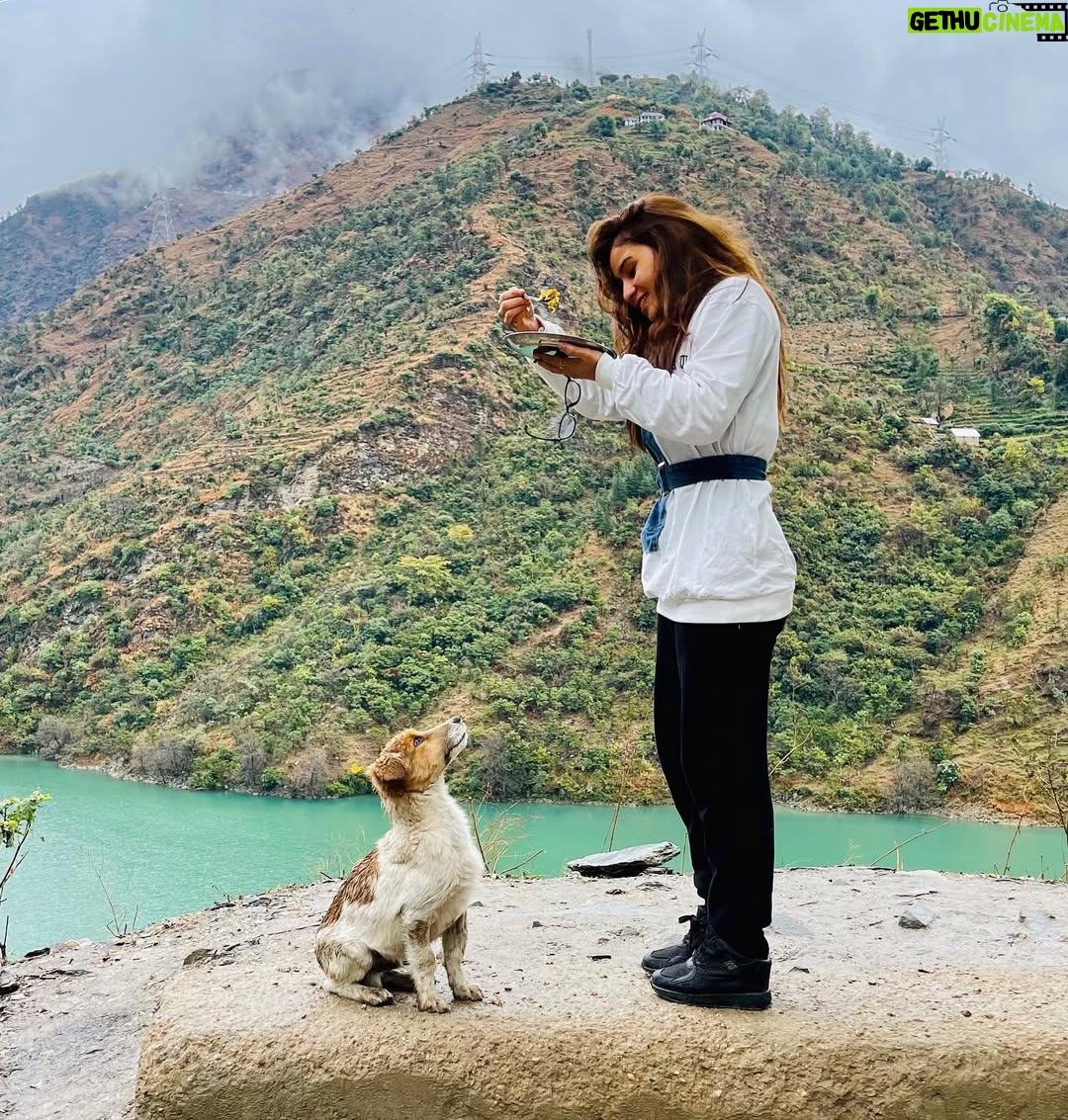 Priyanka Singh - 3 Likes - The way he looking at me🐶🐶
He also Maggi lover🐶
#puppy #petlovers #puppylove #dog #cutebaby