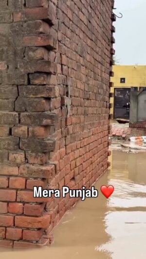 RJ Sheetal Sharma Instagram - Mera Punjab ❤️
Waheguru mehar kare 🙏

#punjab #wmk🙏❤️ #waheguru #punjabfloods