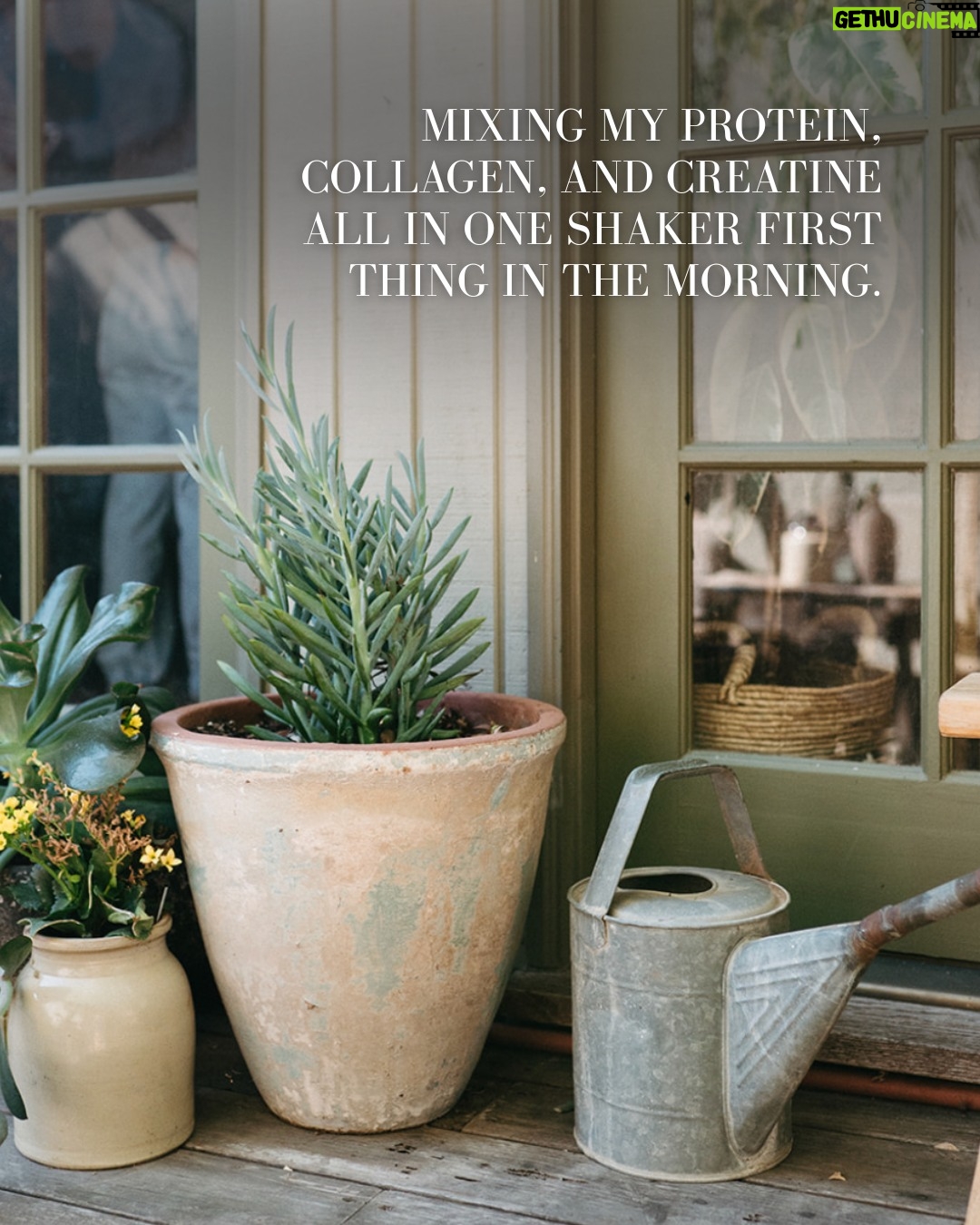 Rachel Hollis - 2.2K Likes - Hey, you know what helped me?

Mixing my protein, collagen, and creatine together first thing in the morning. It’s simple and it makes me feel like I’ve already done something good for myself before the day even starts.

If you’ve ever wondered about creatine, I’m talking all about it in this week’s YouTube episode. Come hang out – Link in bio.
