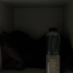 Rajni Yadav