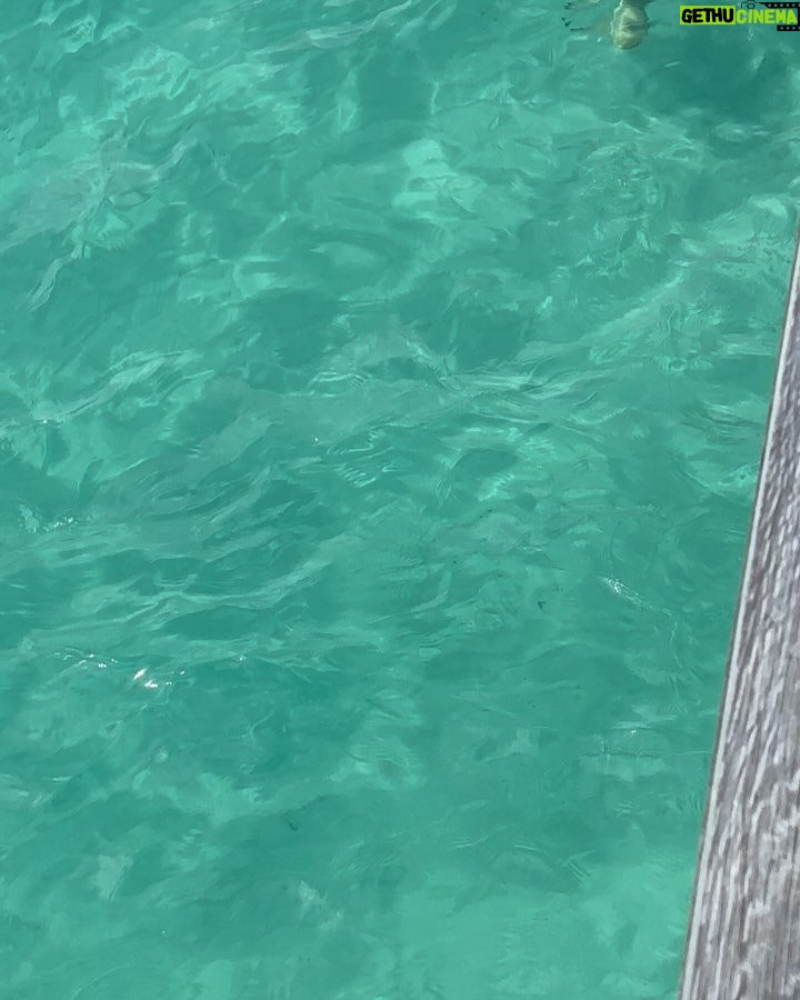 Ratu Felisha - 3 Likes - New fave island 🏝️