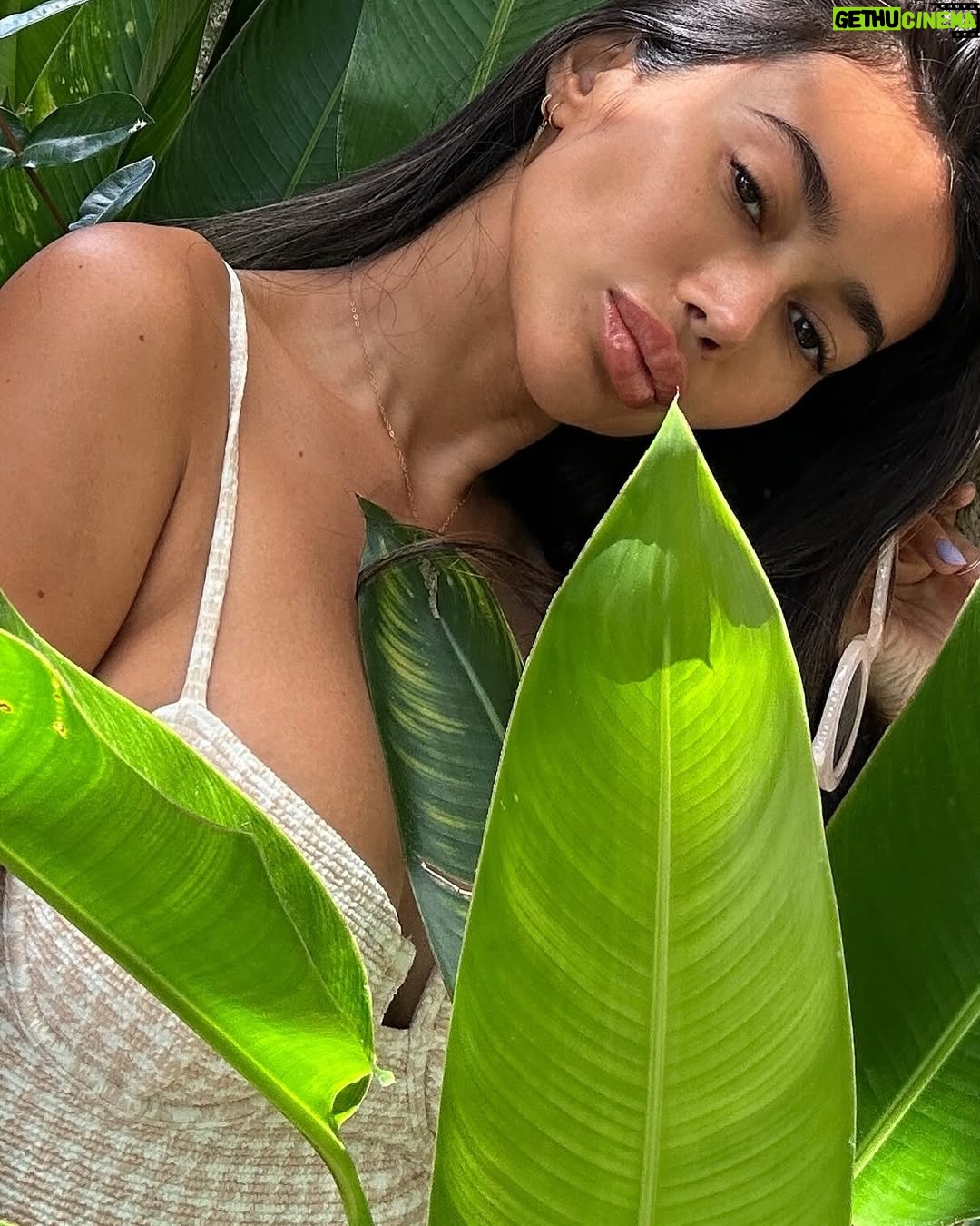 Ratu Felisha - 3 Likes - smol things make me happiii ☀️☁️🪷🦋🌿 @iniviehospitality @kanadeavilla 
#kanadeavilla #iniviehospitality