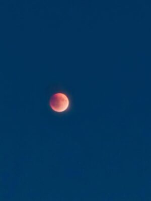 Renu Desai Instagram - Got to experience the sheer magic of a celestial event tonight. I lost hope just before the full eclipse because the clouds started rolling in but they cleared up in 10 minutes and to get to witness a complete lunar eclipse is an experience that I will be fascinated with for the rest of my life🧡 
Tried to capture a little bit of this amazing phenomenon on my phone and sharing some with you all😊 #lunareclipse #chandragrahan #lunareclipse2025
