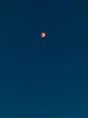 Renu Desai Instagram - Got to experience the sheer magic of a celestial event tonight. I lost hope just before the full eclipse because the clouds started rolling in but they cleared up in 10 minutes and to get to witness a complete lunar eclipse is an experience that I will be fascinated with for the rest of my life🧡 
Tried to capture a little bit of this amazing phenomenon on my phone and sharing some with you all😊 #lunareclipse #chandragrahan #lunareclipse2025