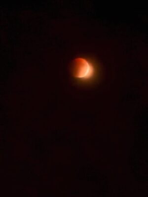 Renu Desai Instagram - Got to experience the sheer magic of a celestial event tonight. I lost hope just before the full eclipse because the clouds started rolling in but they cleared up in 10 minutes and to get to witness a complete lunar eclipse is an experience that I will be fascinated with for the rest of my life🧡 
Tried to capture a little bit of this amazing phenomenon on my phone and sharing some with you all😊 #lunareclipse #chandragrahan #lunareclipse2025