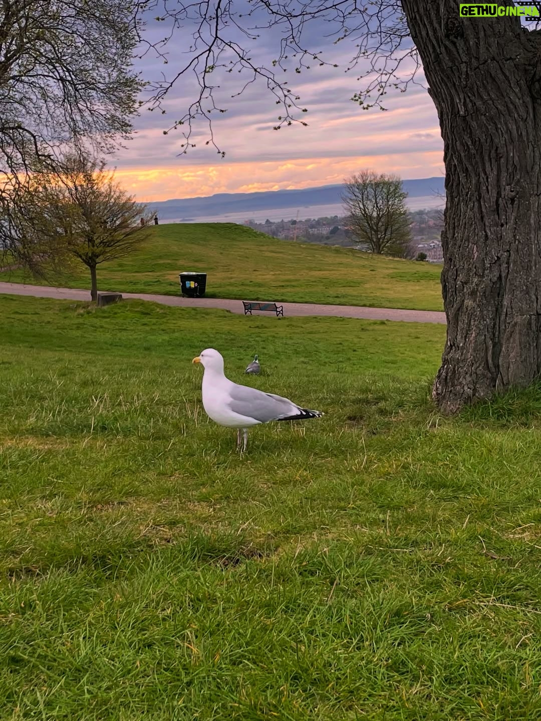 Riddhi Kumar - 62.2K Likes - Alice in Scotland ✨

Finally going to be posting London photos from this summer because everything post has been a roller coaster ride. Have not been active w much personal stuff on the gram lately since my dad had a brain stroke and we were dealing with it’s ongoings BUTTT he’s now recovering well and we’re extremely grateful!
Times like these teach the strength you hold as a family, your patience and willpower and more than anything the ability to laugh even when things feel like they’re the worst that could ever be. To be grateful even when life doesn’t necessarily offer any gratitude-induced moments is probably the best we can do for ourselves because who knows the bad could turn worse any given time haha!
Sending in lots of love, warm hugs and laughter bits to people facing such moments today! 🥰