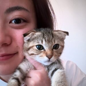 Rio Yamashita Instagram - 家族が増えました🐈

捨てられた？子猫ちゃんを保護し、私が最後まで面倒みることに決めました。
過酷な状況で生きる野良猫ちゃんが少しでも減ることを心から願っています。

#保護猫