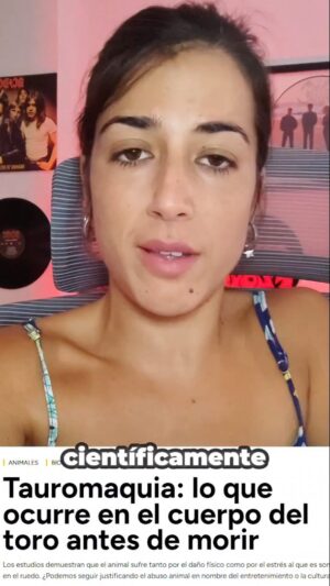 Rocío Vidal Instagram - Sobre lo de los toros de ayer en La Revuelta.
 Más ciencia y menos maltrato animal en la televisión pública. Y en esta colina moriré.