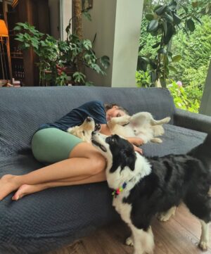 Rojda Demirer Instagram - 🙏🤍
#satınalmasahiplen🐾