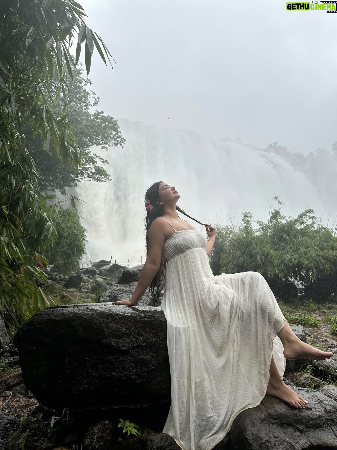 Rose Rawat - 19.5K Likes - For a minute there I lost myself 🤍 

.

.

.

#keral #keralagram #weather #rain #waterfall #natur #naturelovers #munnar #kerala