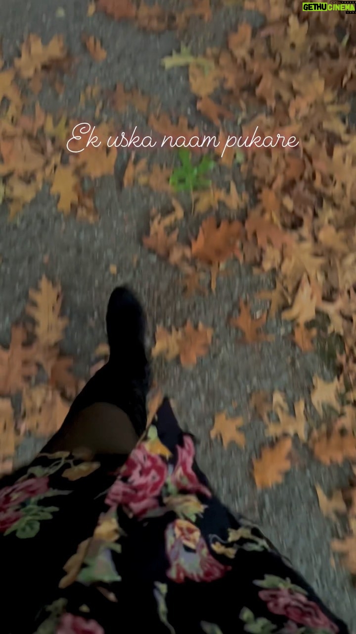 Ruhi Dhiman - 6.1K Likes - ♥️🥰 @ruhi_dhiman8 
#reel #trending #viral #foryou #reelkrofeelkro