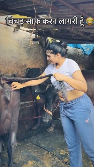 Rupinder Kaur Dhaliwal Instagram - #punjabisongs #punjabi #bollywoodsongs #reels #veedmusic #