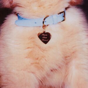 Sabrina Carpenter Instagram - My new album, “Man’s Best Friend” 🐾
is out on August 29, 2025.

i can’t wait for it to be yours x 

Pre-order now