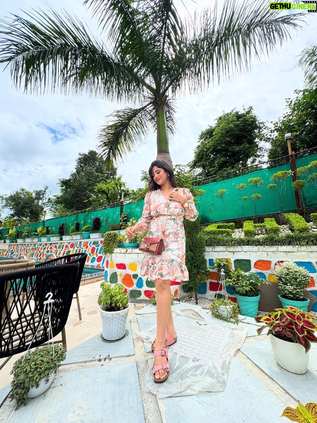 Saima - 4.8K Likes - dil garden garden 🪴 

comment for details