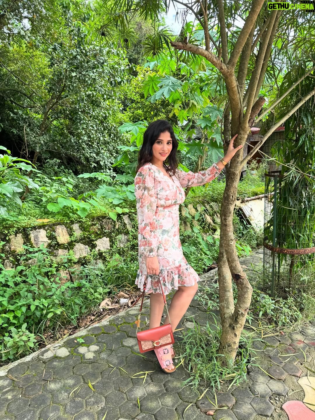 Saima - 4.8K Likes - dil garden garden 🪴 

comment for details