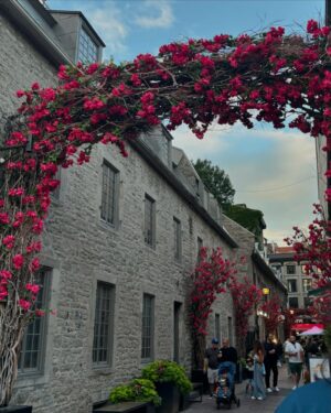 Sakshi Choudhary Instagram - She looked Daisy safe but smelled Rose wild. 💕🌸
.
.
.
.
#torontoinfluencer #jammugirl #torontostyleblogger